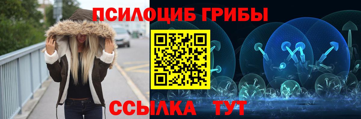 Псилоцибиновые грибы прущие грибы Кизляр