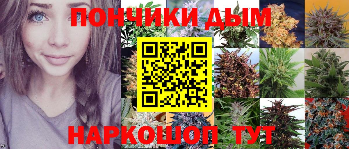 Бошки марихуана ГИДРОПОН Кизляр